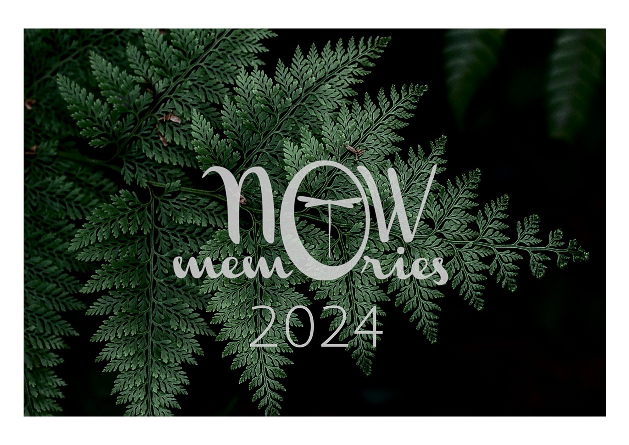 home decor, cover of the Now Memories 2024 photography calendar with a picture of a fern of Aotearoa New Zealand, with the text Now Memories 2024