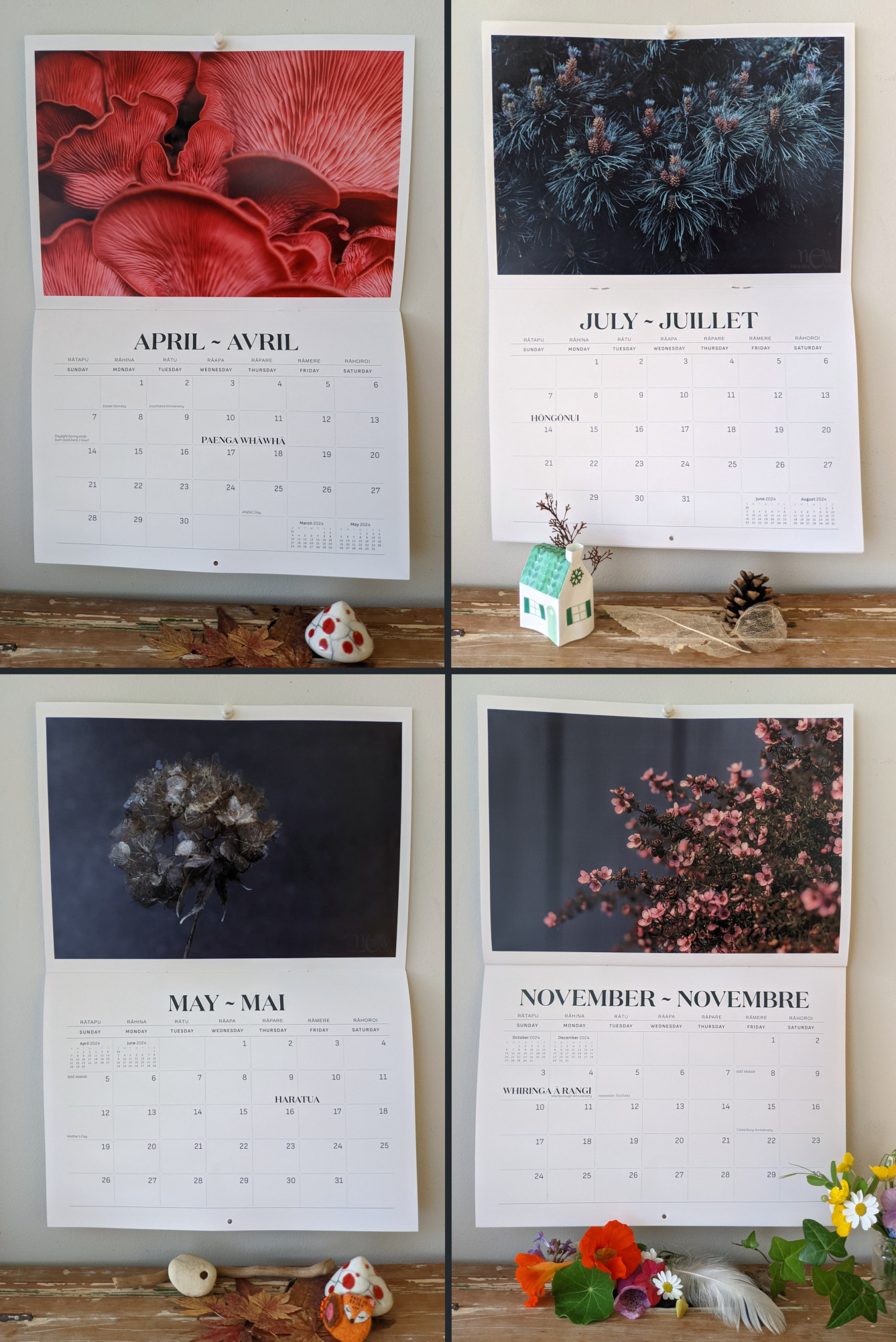 home decor, a layout of pages of Now Memories photography calendar year 2024 on a wall, months of April, July, May and November, with pictures of mushroom close up, pine tree in Winter, dry flower and flowers of manuka tree of Aotearoa New Zealand