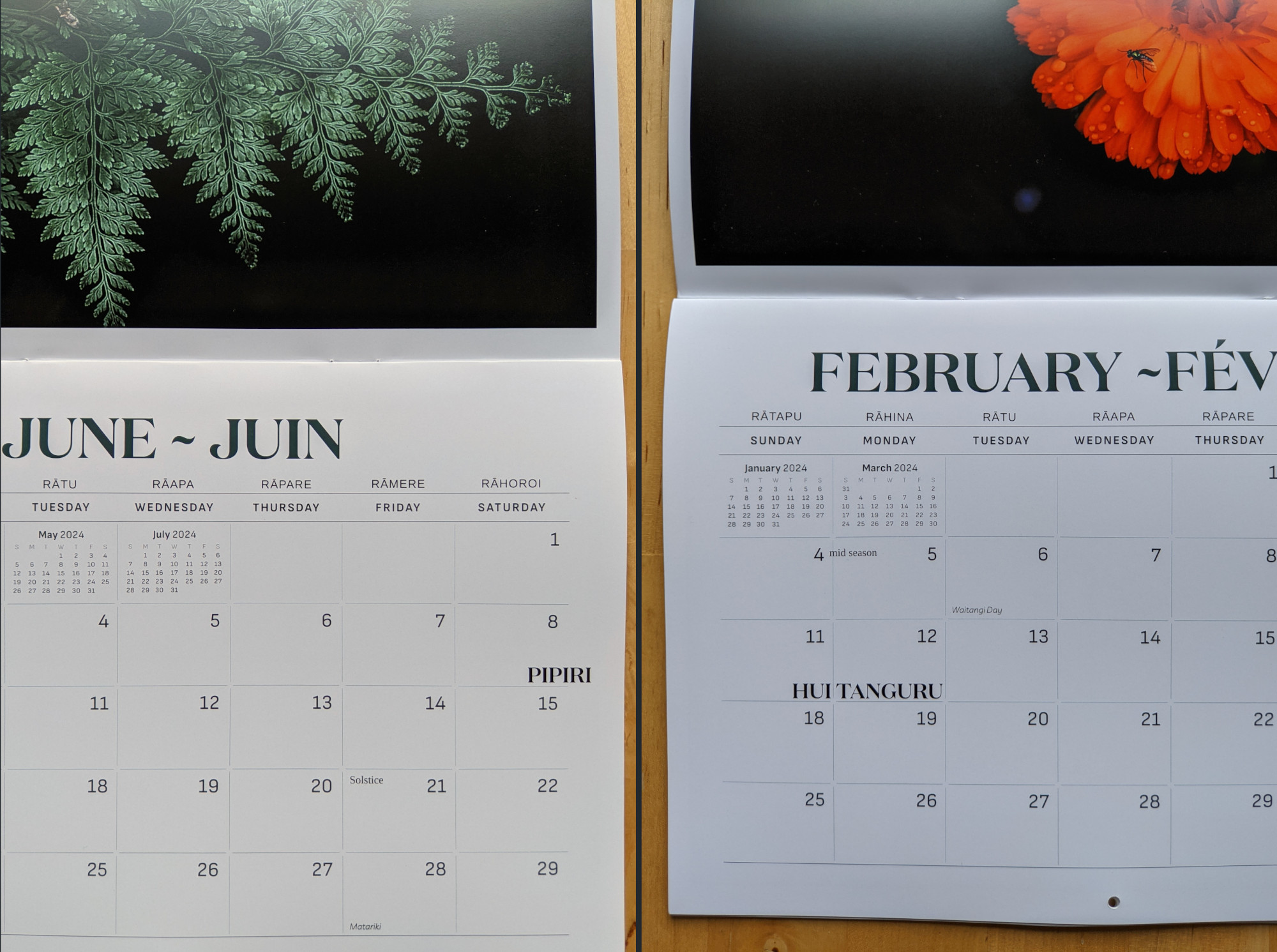 home decor, photography calendar year 2024, months of June and February, with picture of nature in Aotearoa New Zealand, fern and flower with a fly for Summer